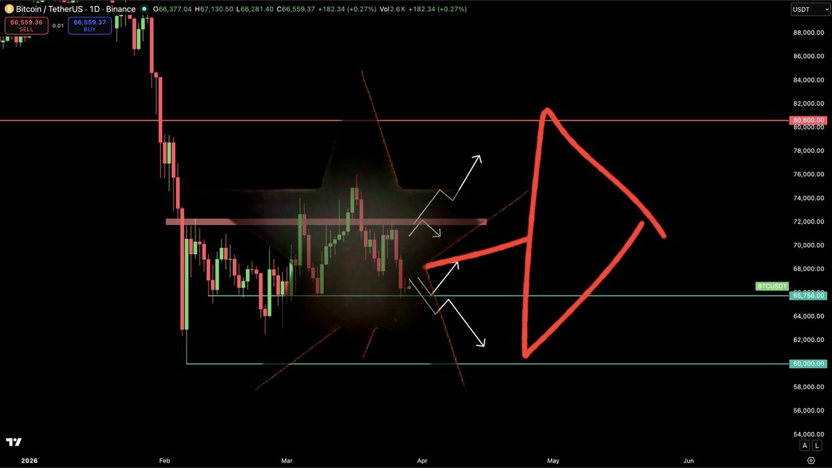 Web Artist Zap ART tweet media