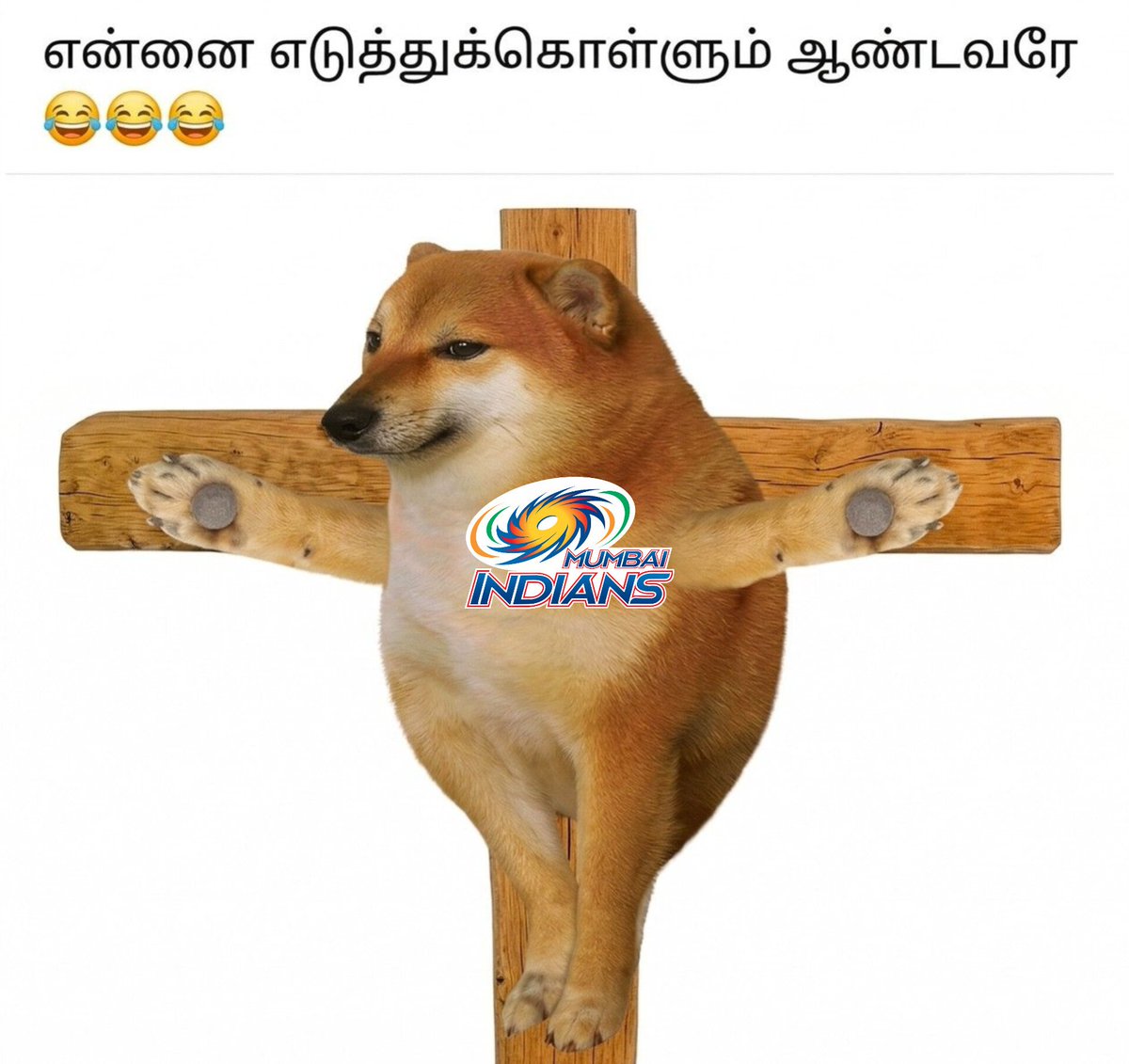 Ɗ Ơ Ɲ ᴹᴵ 🏂 tweet media