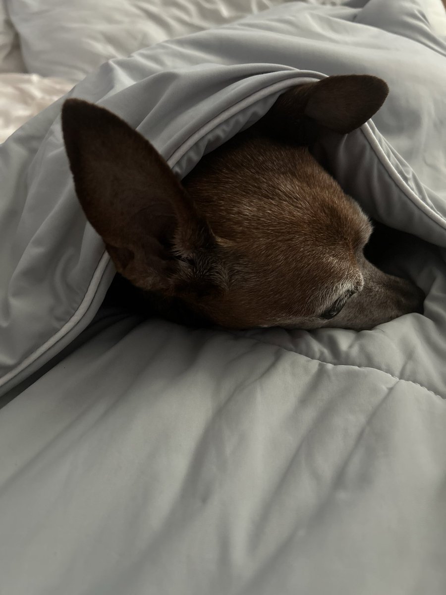 Victoria Thompson, M.S. tweet media