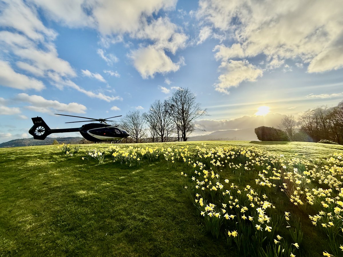 Chris Wood 🇬🇧 tweet media