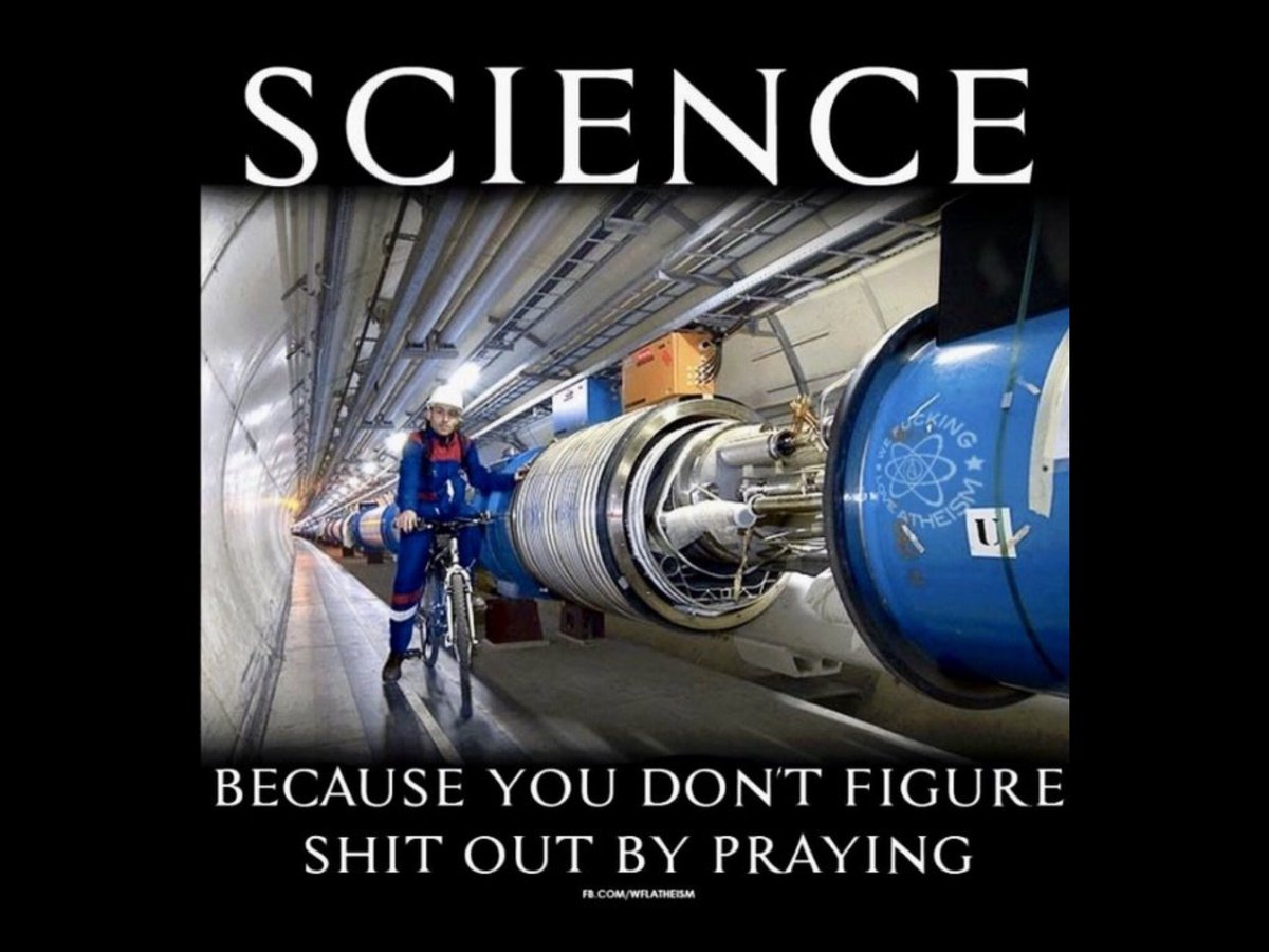 Gary Wiese tweet media