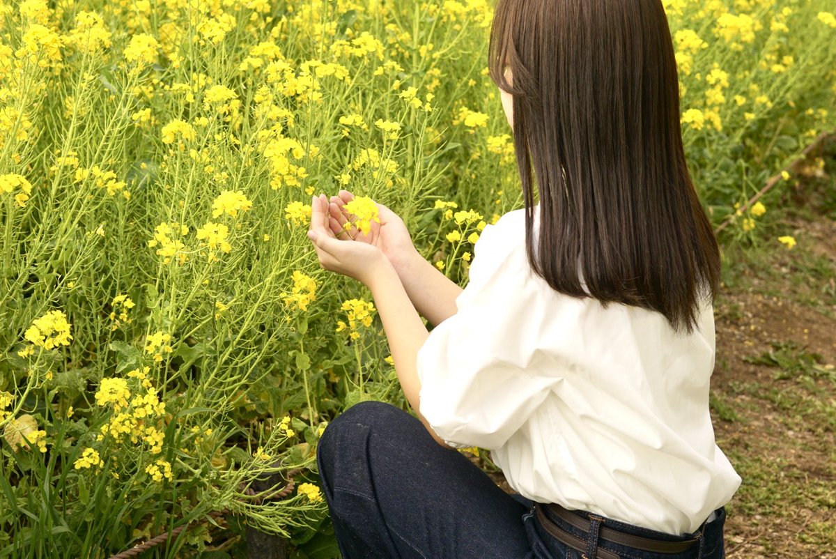 まりも tweet media