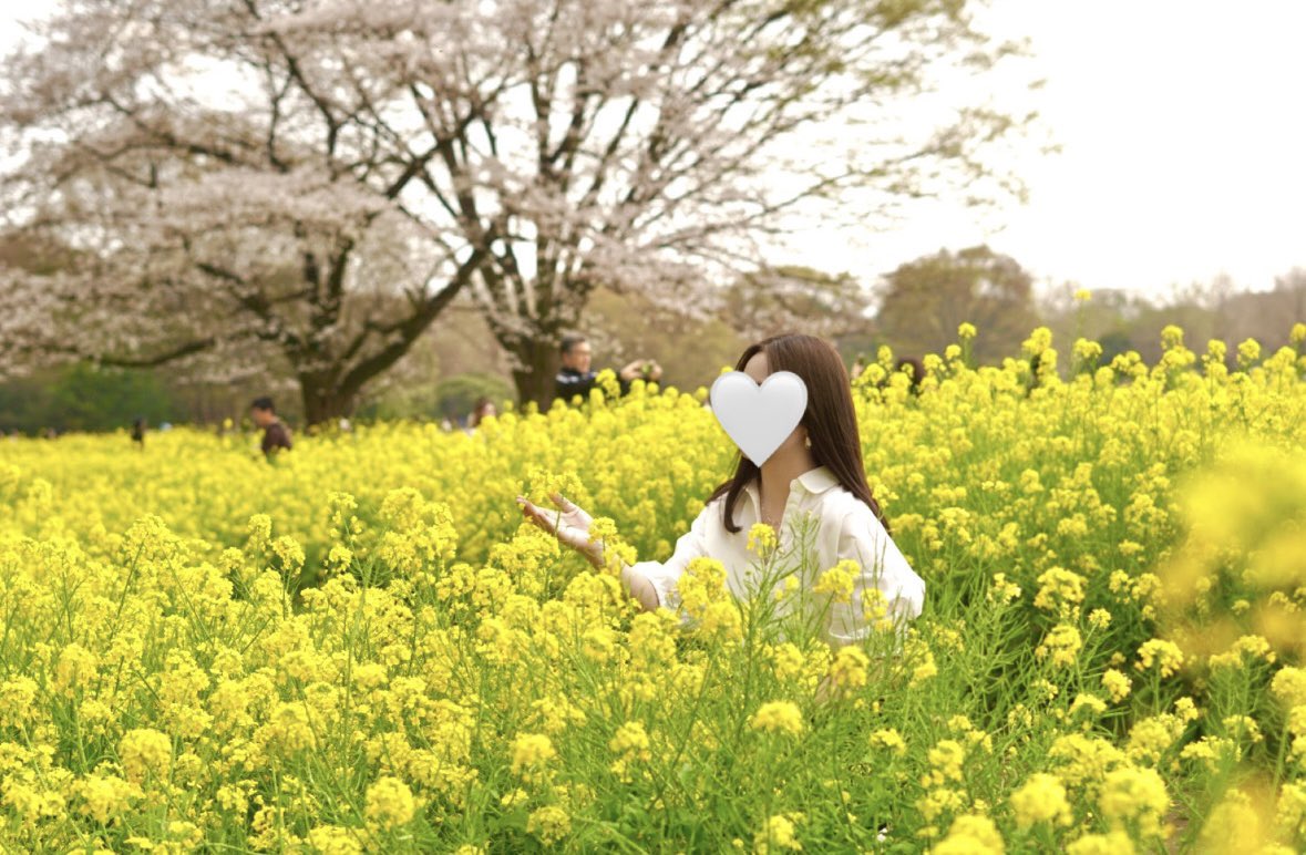 まりも tweet media