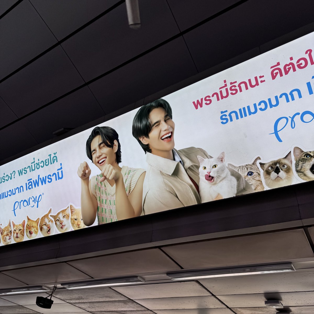 𝘱𝘱 ✿ tweet media