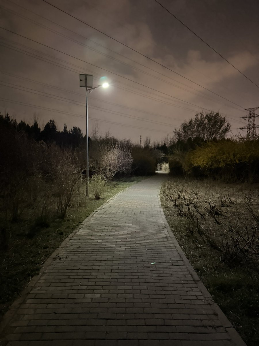 SmChinilam tweet media