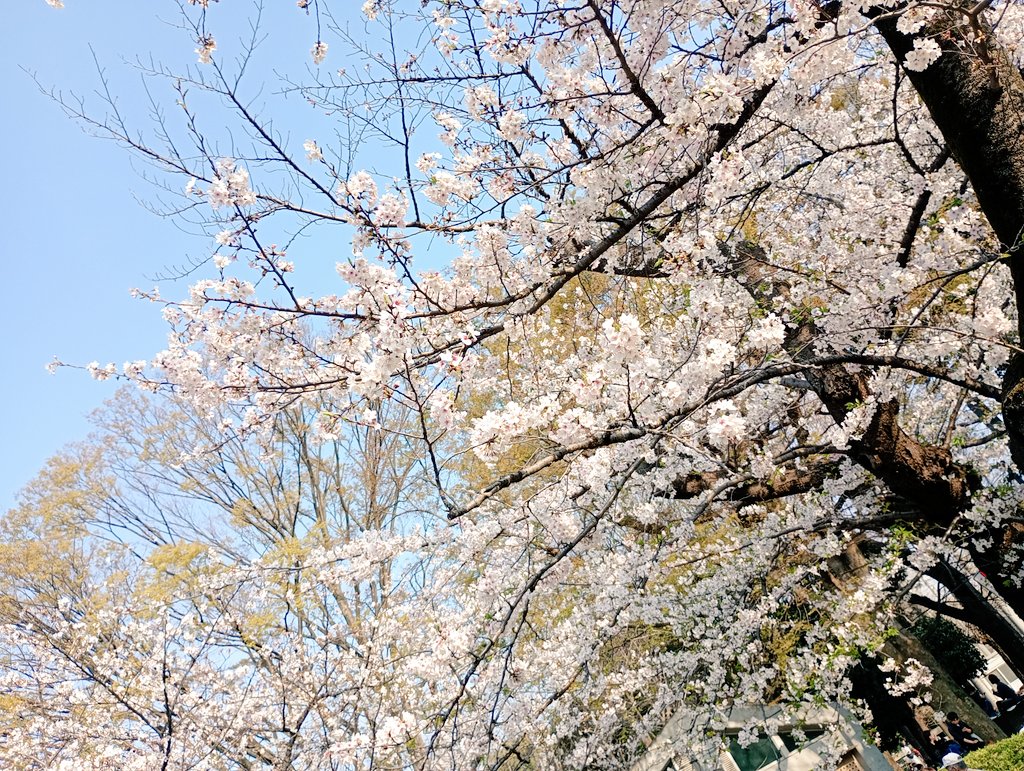 DTM TORIS tweet media