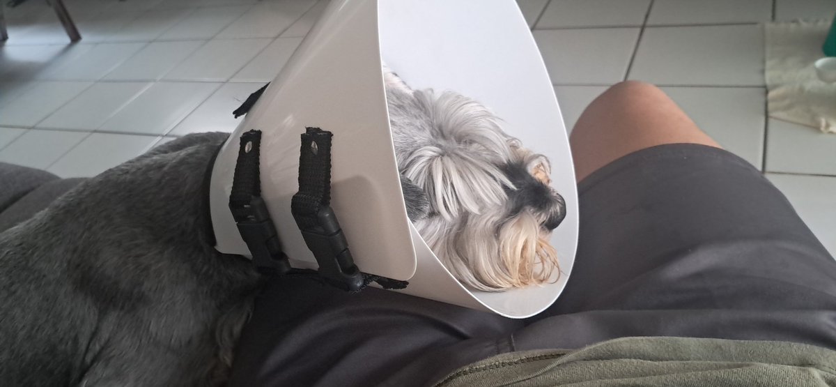 busycage tweet media