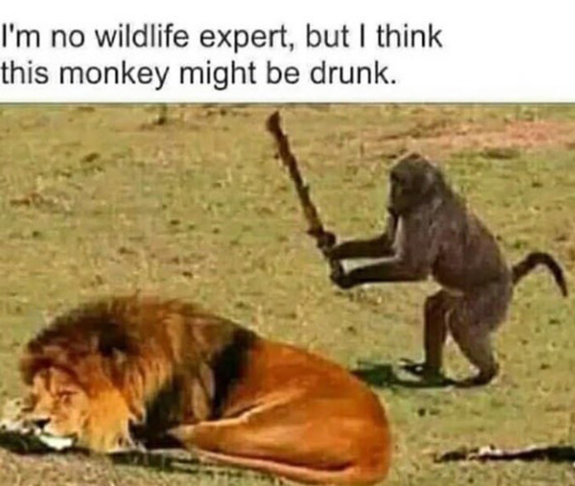 Charles Pascalar tweet media