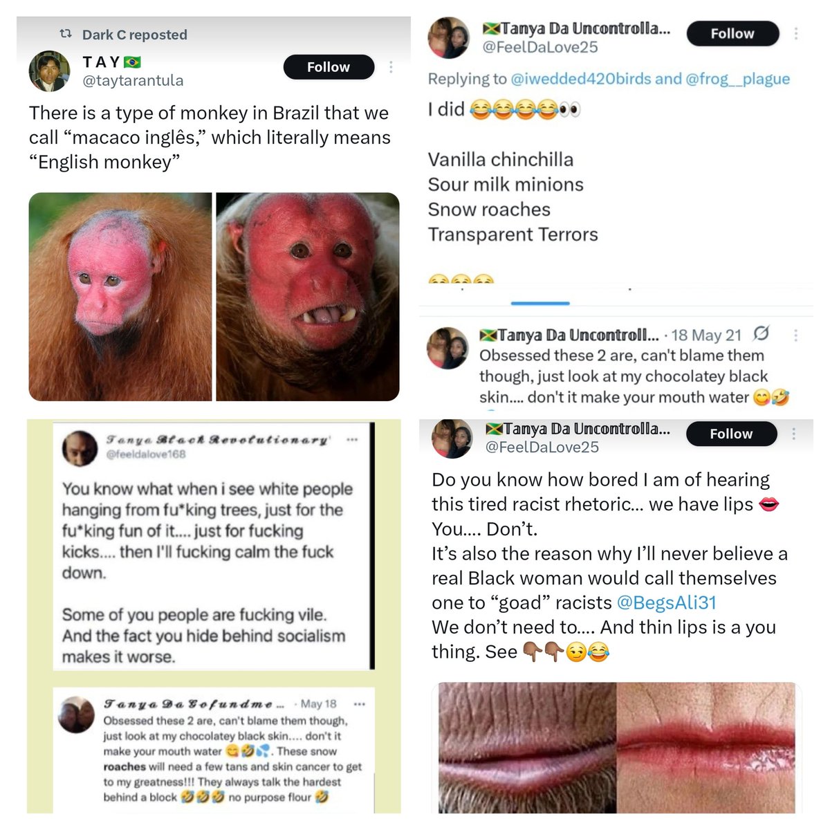 Syl 🏴🥃 tweet media