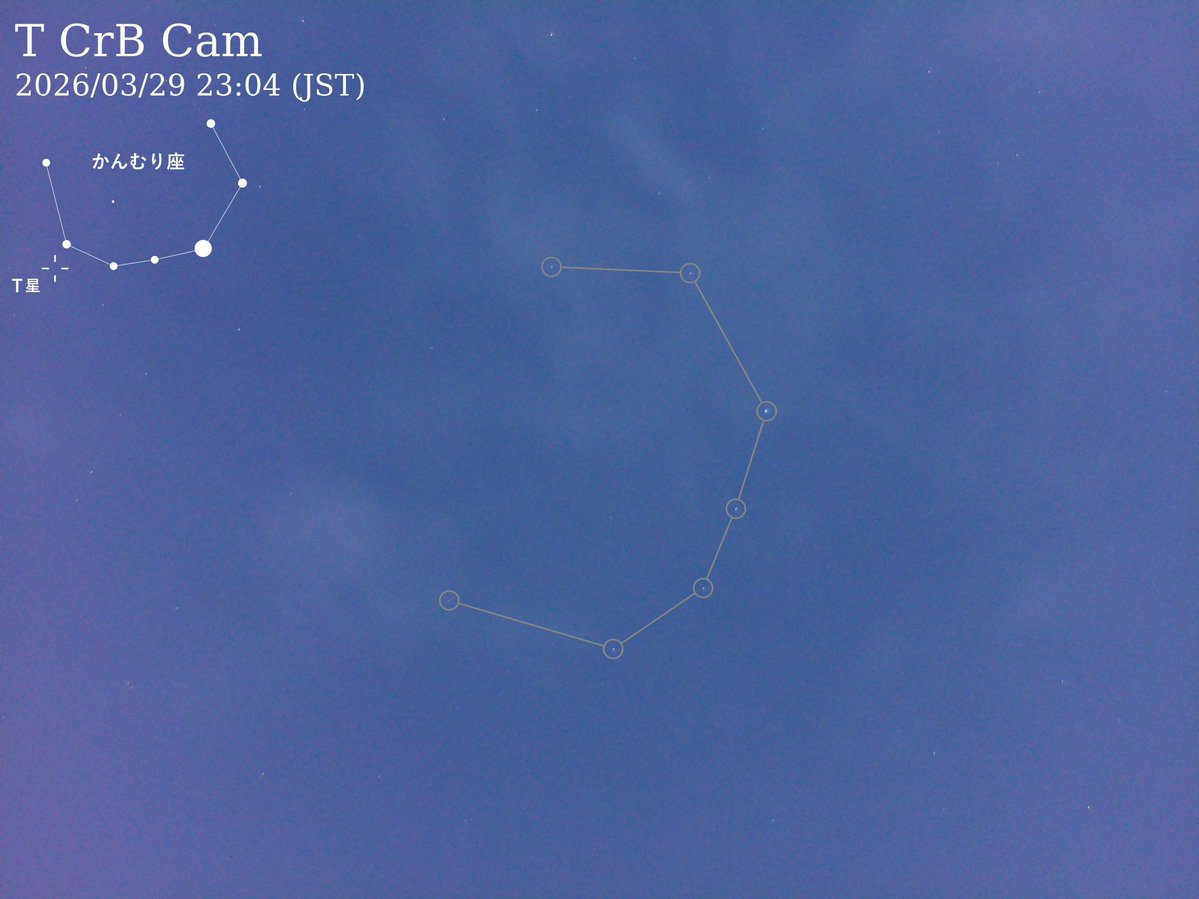 三島和久・アニリン・レモンパスタ部 tweet media