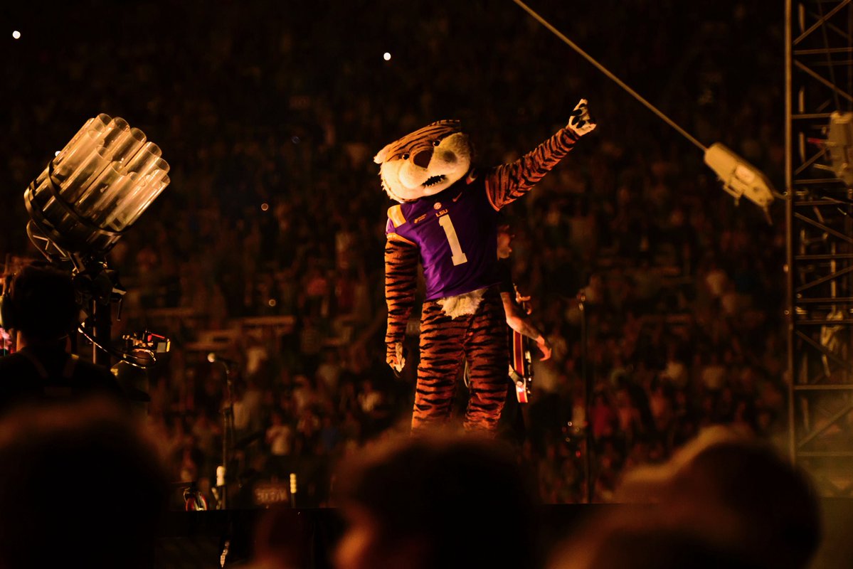 LSU Football tweet media