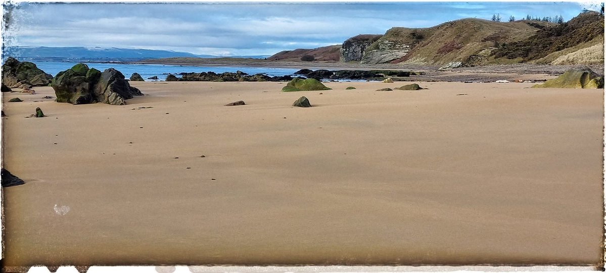 Robert Macleod tweet media