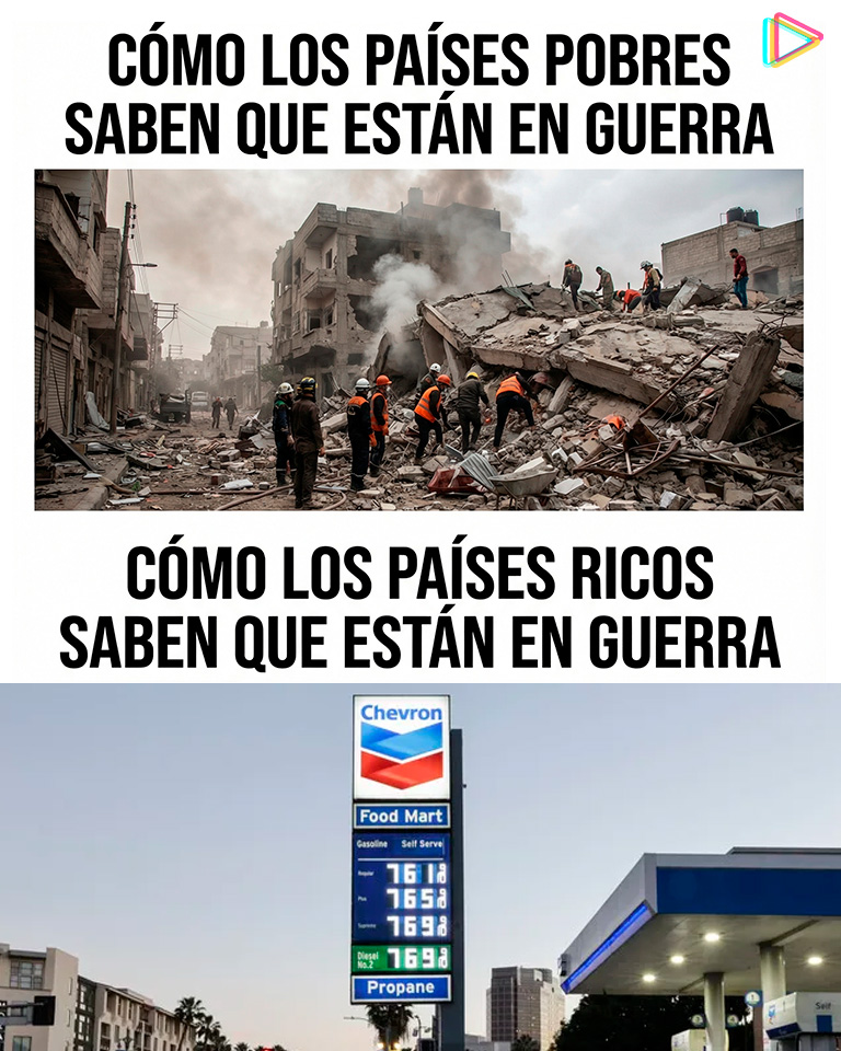 ZuritaCarpio tweet media