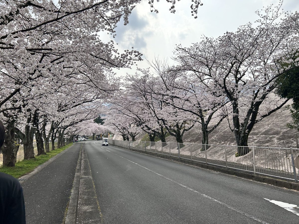 かみしたともや tweet media