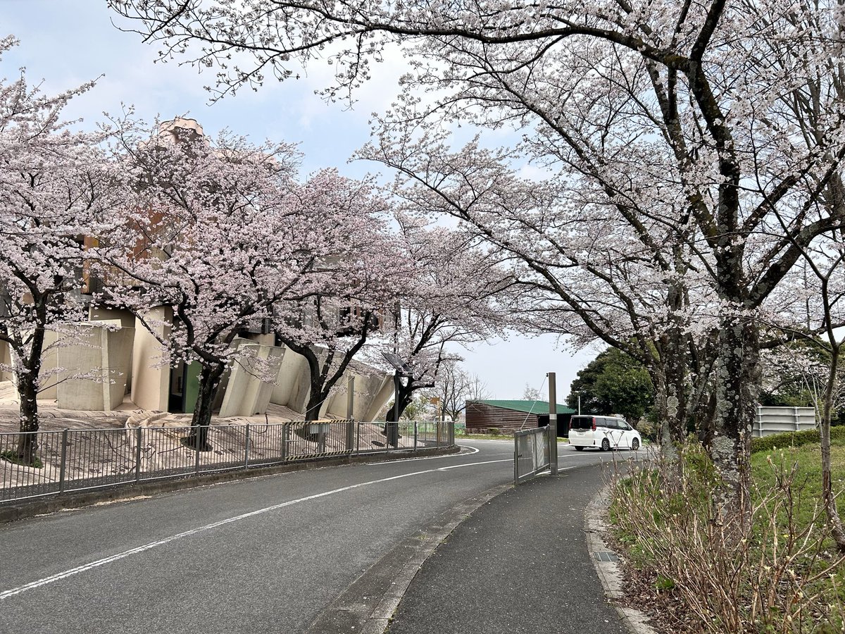 かみしたともや tweet media