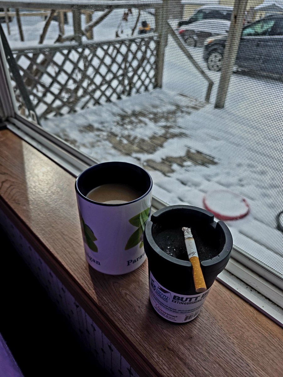 Just Ⓐ Fox 🏳️⚧️🏴 tweet media