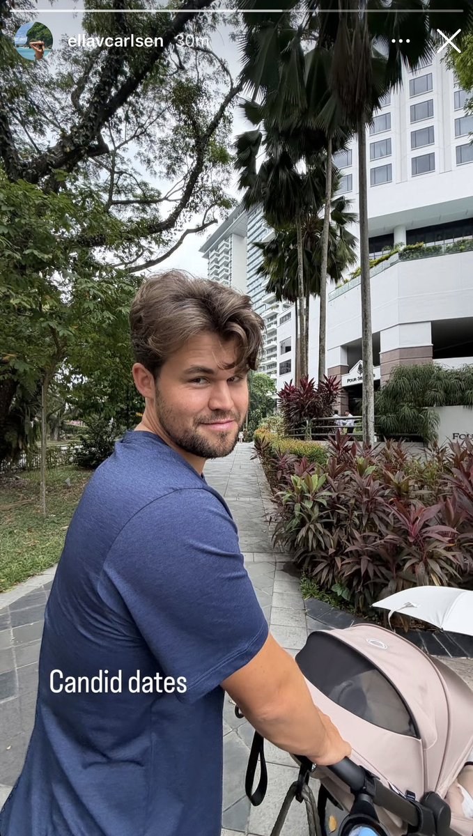 MaxChess tweet media