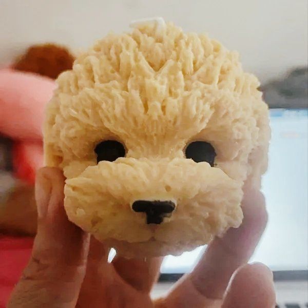 Donald de bruin tweet media