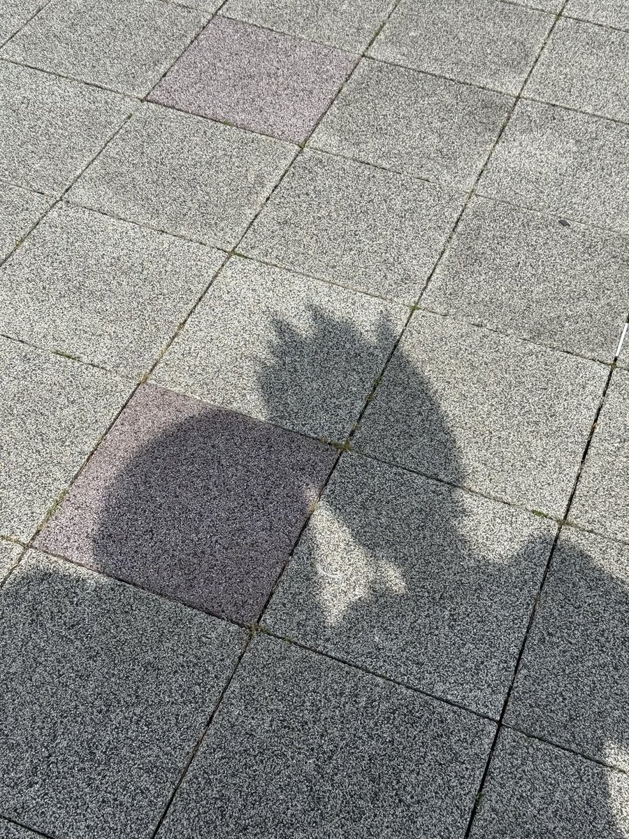 융🐬3부코 일 tweet media