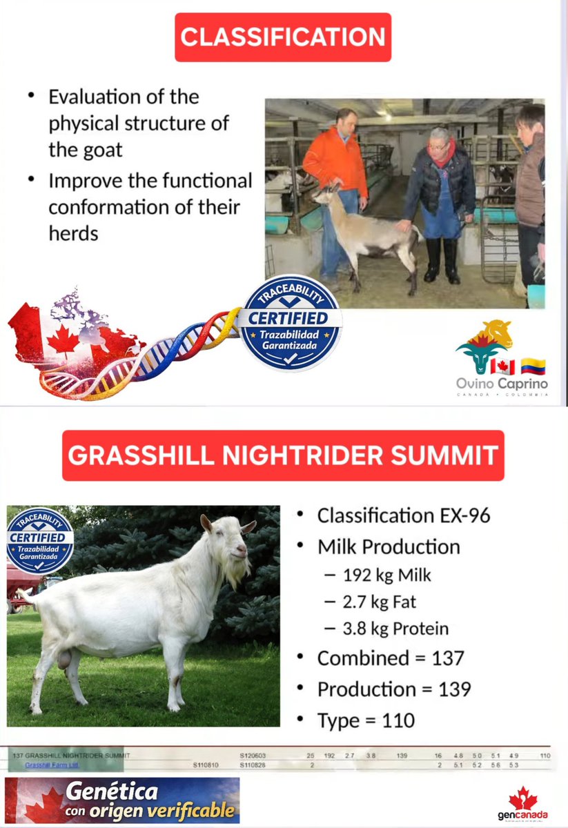 GENCANADA tweet media