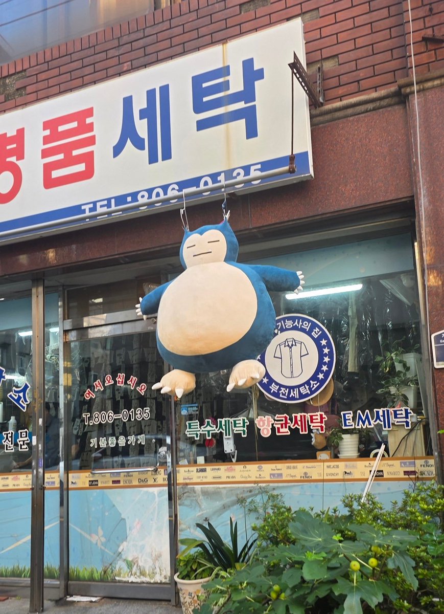 짤주워오는계정 tweet media