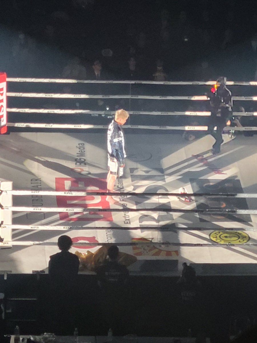 サーバル tweet media