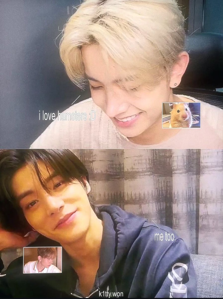 Avi Averi tweet media