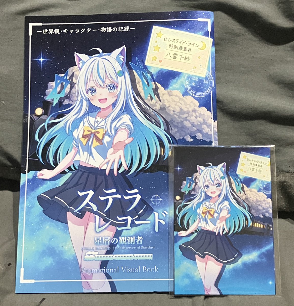 araiaki_ema's tweet photo. 今日のコスプレBBQで『ステラ・レコード〜星屑の観測者〜』のビジュアルブックをいただきましたー
ありがとうございますねーもー
こんなんなんぼあってもいいですからね
#joujou
#コスプレBBQ
#山田池公園 https://t.co/lgHzEcpev5