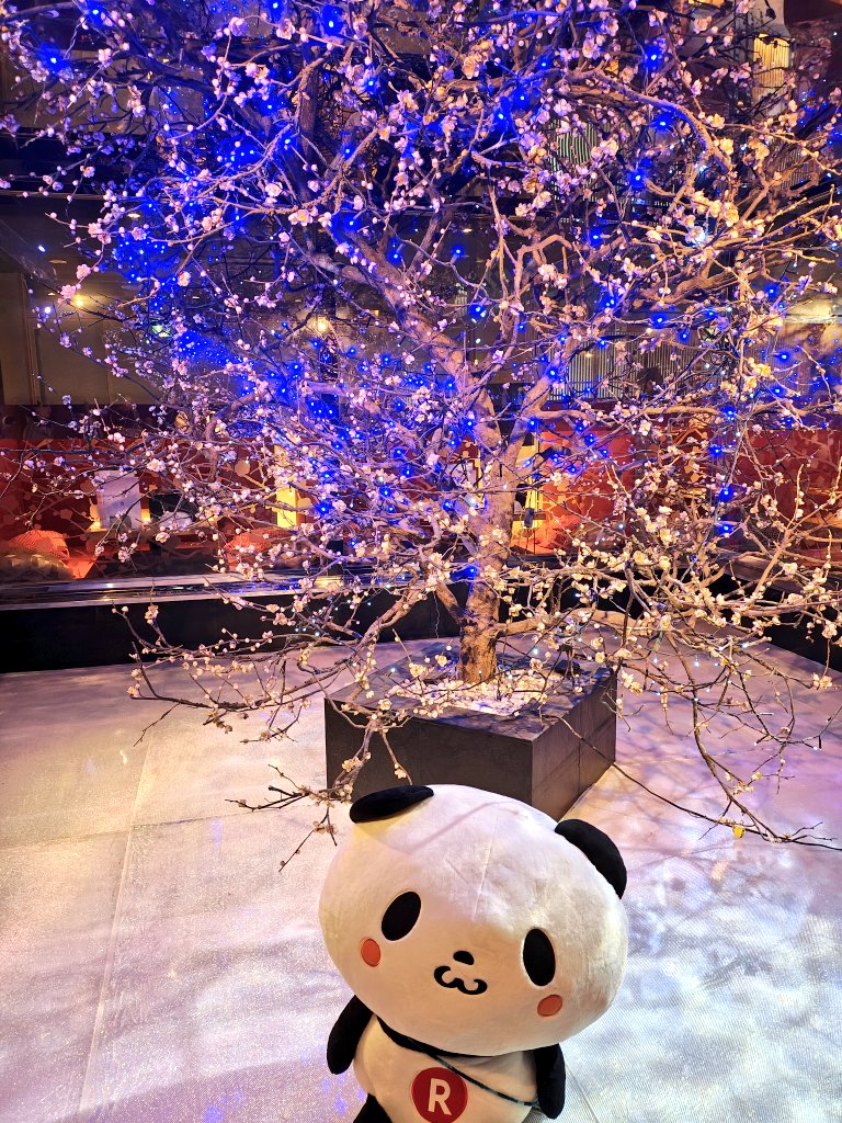 のっぴ🍬🌸 tweet media