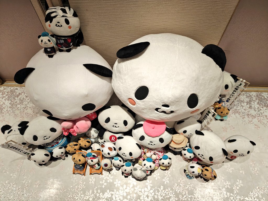 のっぴ🍬🌸 tweet media