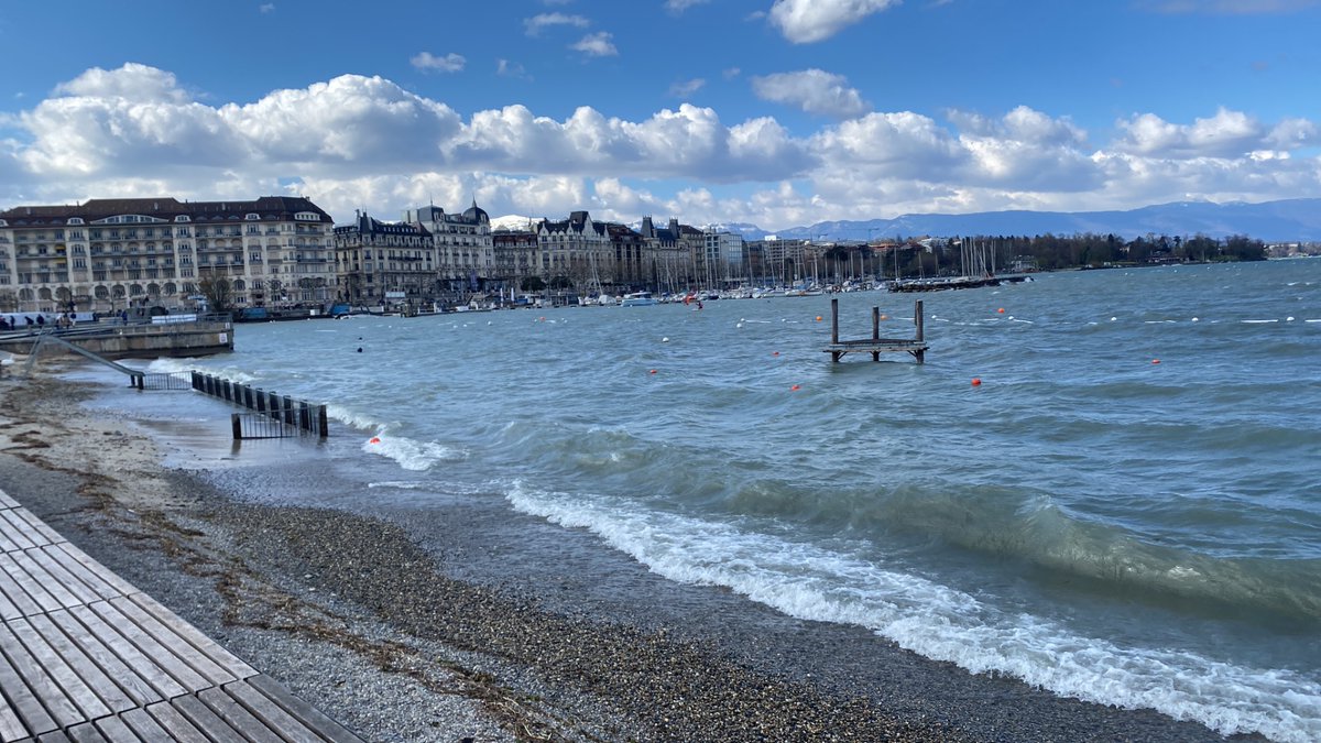 Teimur-golden tweet media