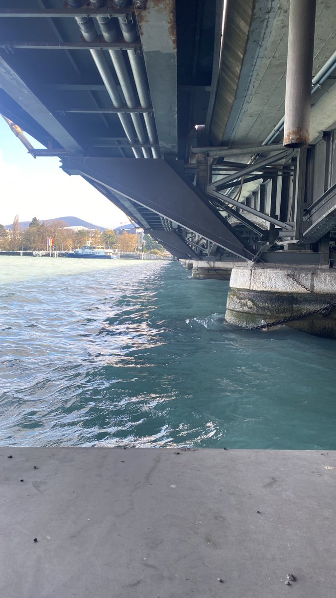 Teimur-golden tweet media