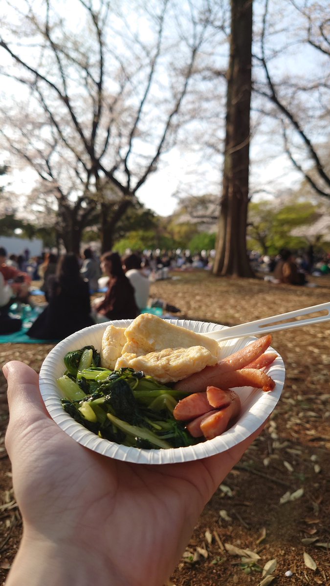 ticklever's tweet photo. 今年も花見ができた🌸 https://t.co/uZvTxby4xR