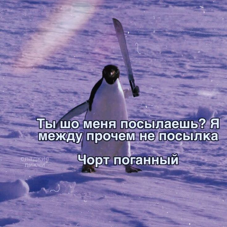 ✧LisS✧⁠ tweet media