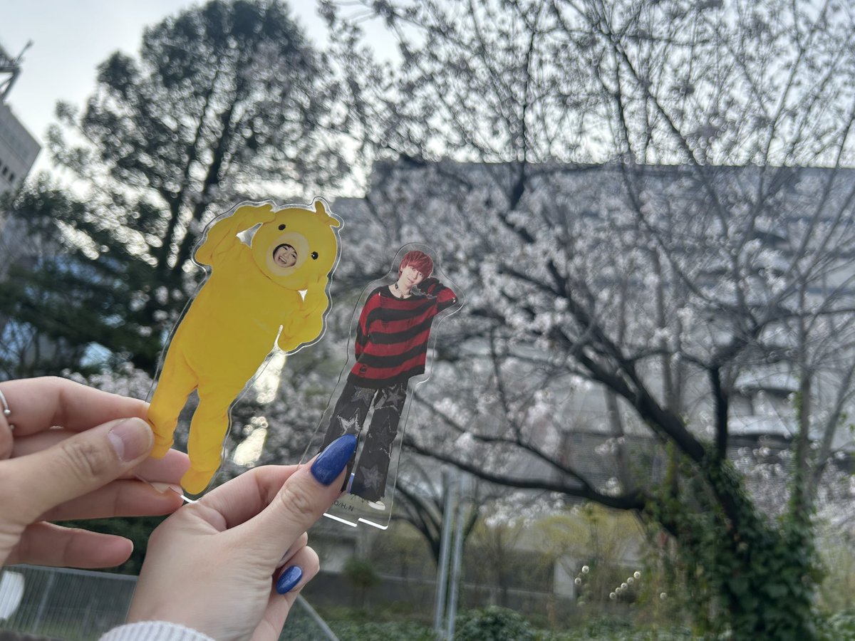 まみちとなぎち tweet media