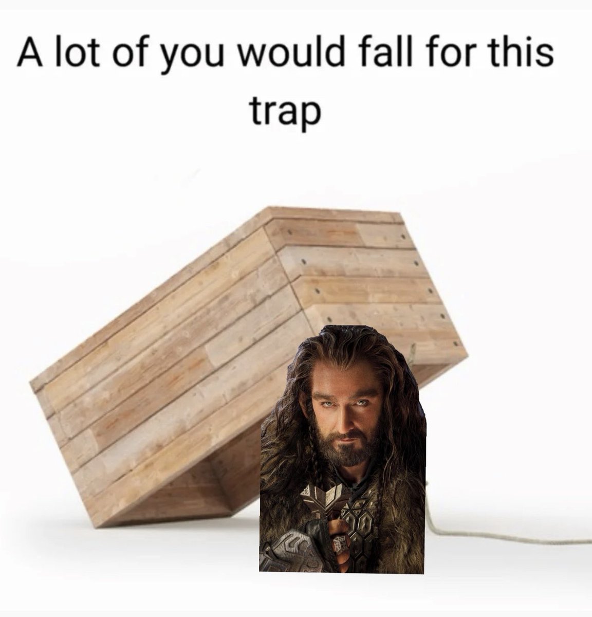 Miss CottonTale tweet media