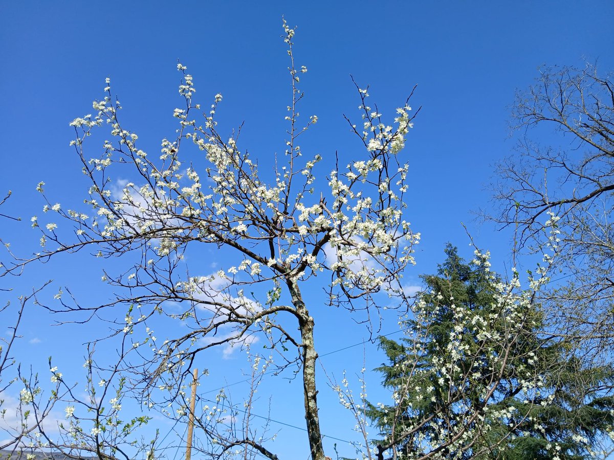 Bianco che sfiora l'azzurro 🤍🩵