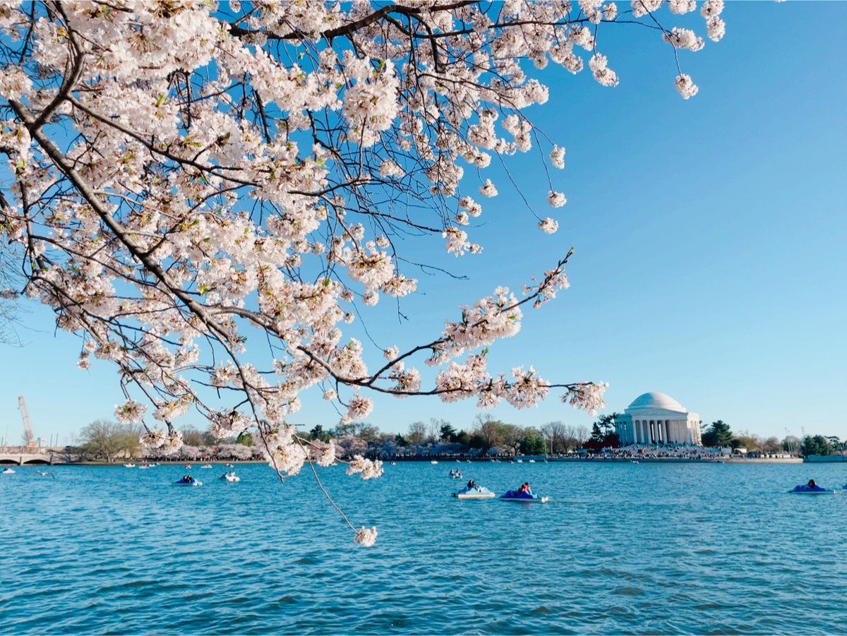 TAEM_IN💜 tweet media