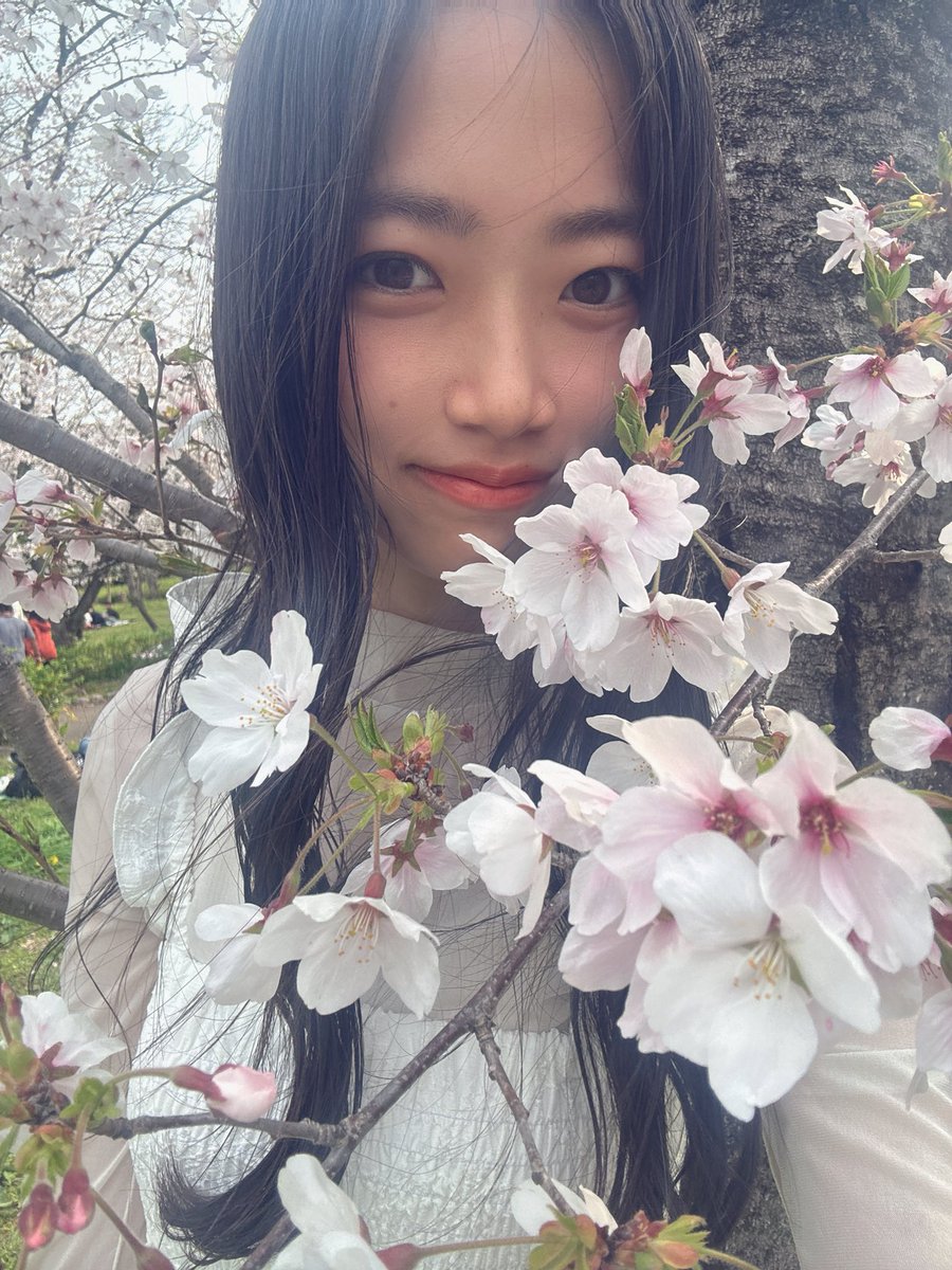 mio__kisaragi_'s tweet photo. 本日満枠でした〜！㊗️✨️
撮影会ありがとうございました！🙌🌸
天気も良くて！風もなくて！
サクラ満開で！過ごしやすい1日でした！
データすごく楽しみにしてます！🎶📸

次回は4月25日！！と他の日は調整中です！おそらく平日かな🙄
4月もお待ちしてます🥳

@390photo  #NOA撮影会 https://t.co/2EYFuwsX9A