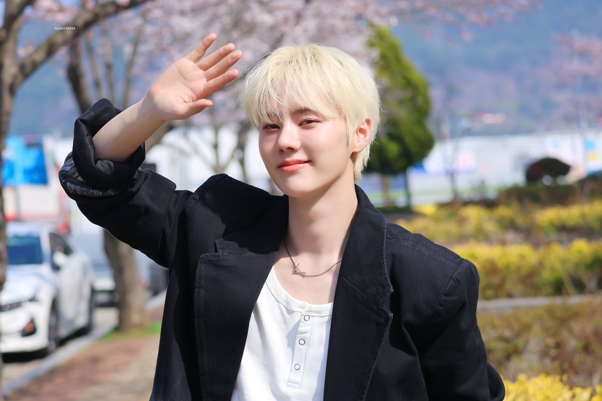 MARGUERITE tweet media