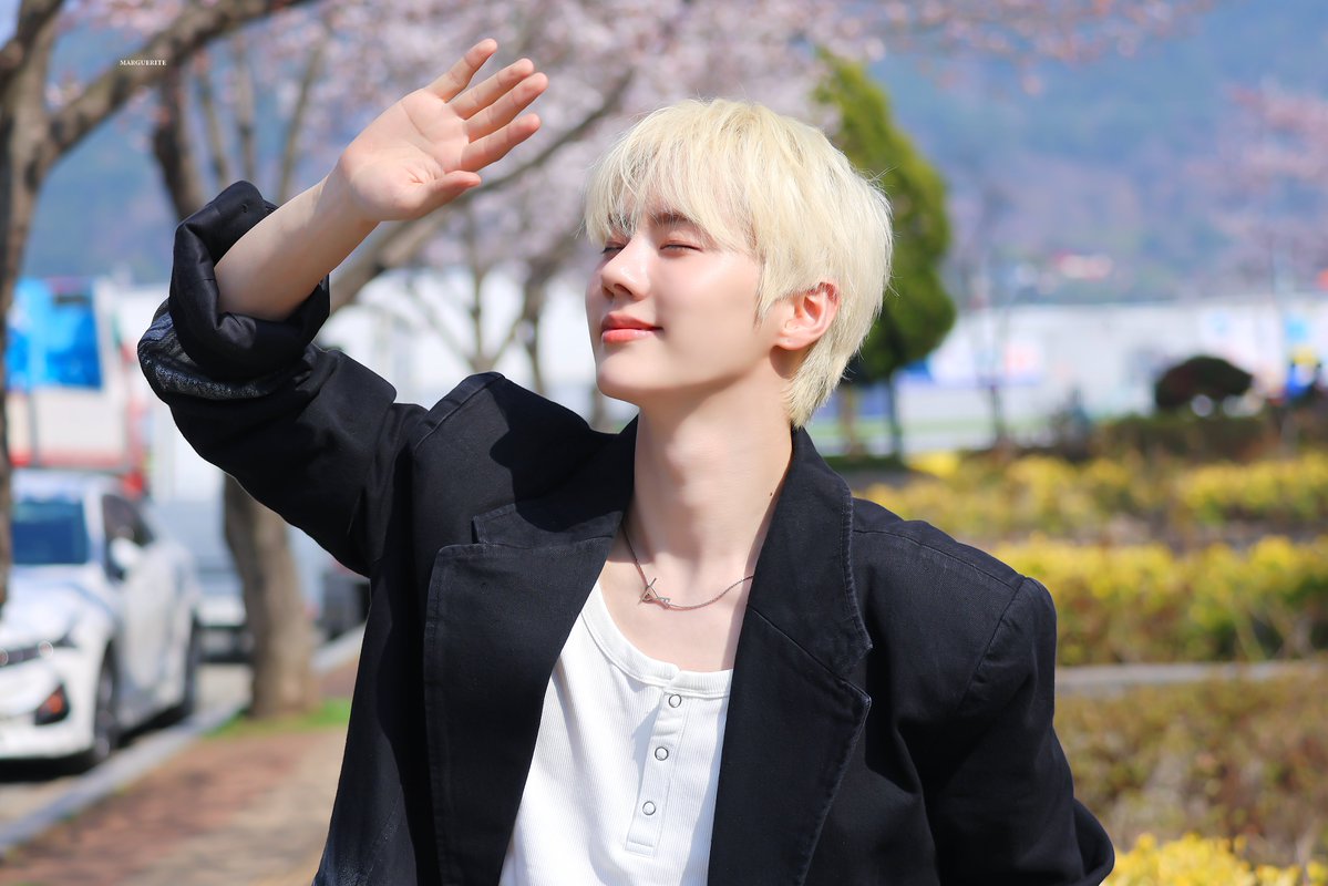 MARGUERITE tweet media