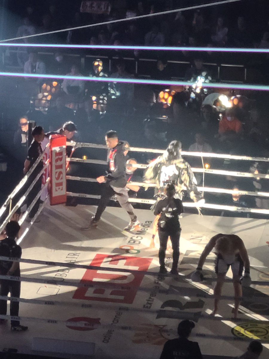 サーバル tweet media