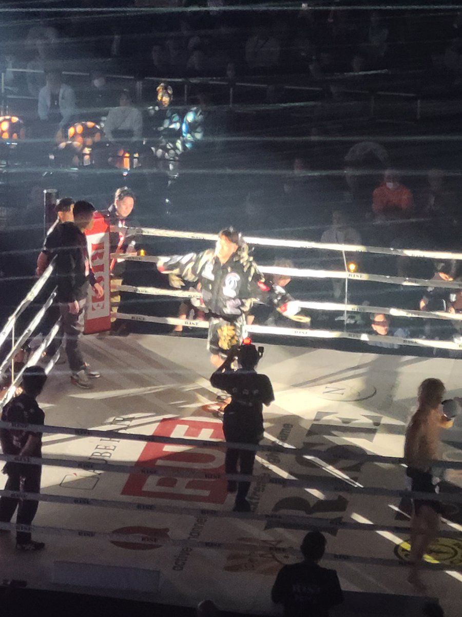 サーバル tweet media