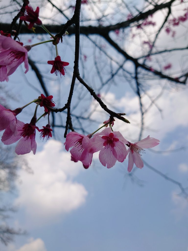 miel🌈⛩️ tweet media