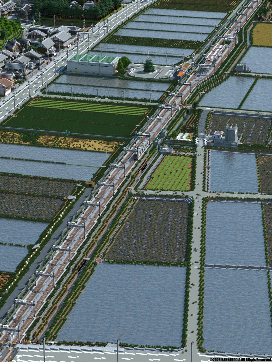 薄荷(ハッカ)/Minspe tweet media