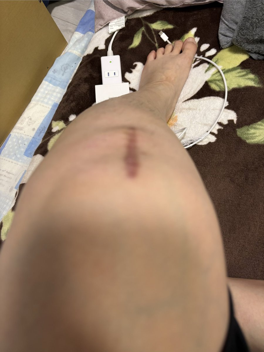 お鷲さん tweet media