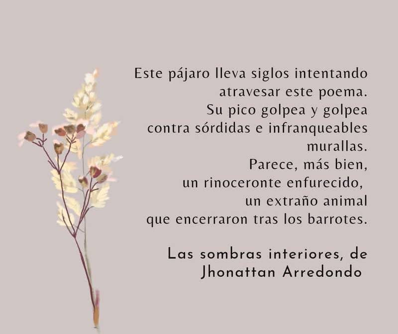 Sílaba Editores tweet media