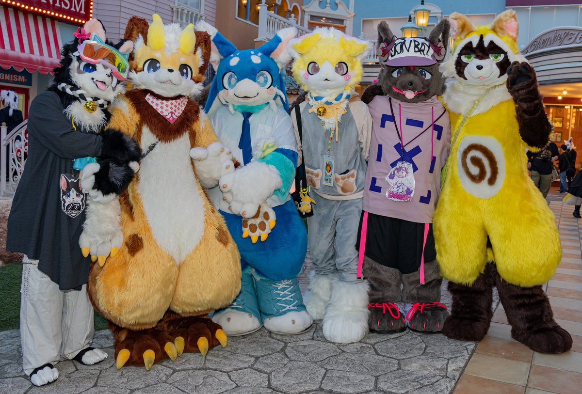 偶然集まったキャラ合わせ写真的な？🐈️📷️
#ケモノフォーカス