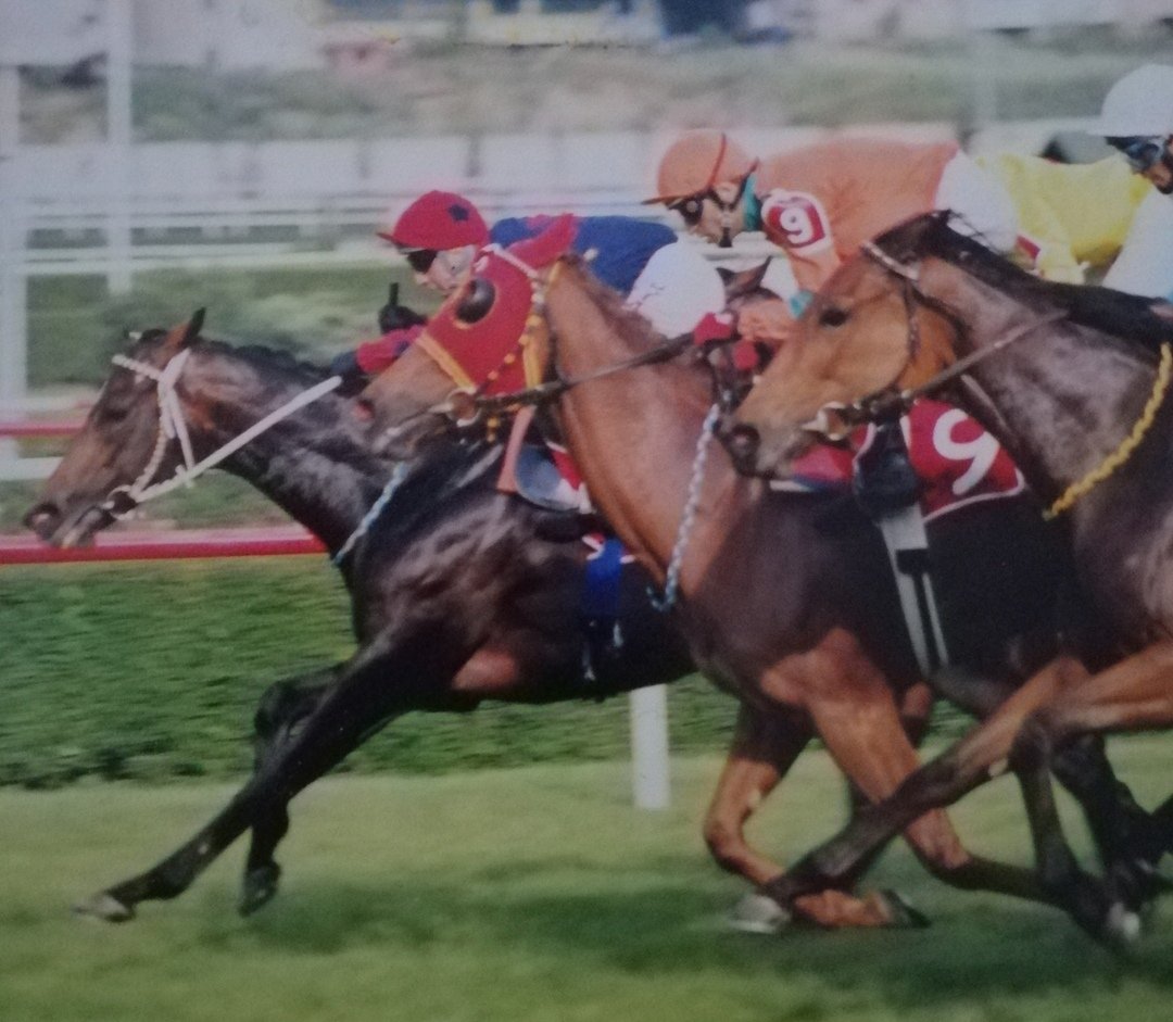 Faır Grouds-Altın Bıke - Mary Allen