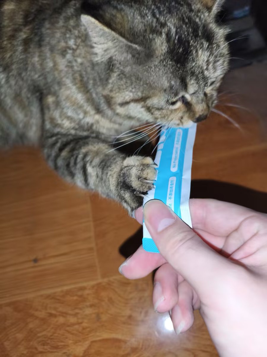 なぎさ酱🍥⚓️🎀🐾 📘💧💀⛓（本物） tweet media